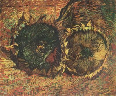 Vincent Van Gogh Two Cut Sunflowers (nn04) China oil painting art